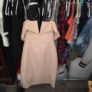 This is a plush BCBG Maxazria dress